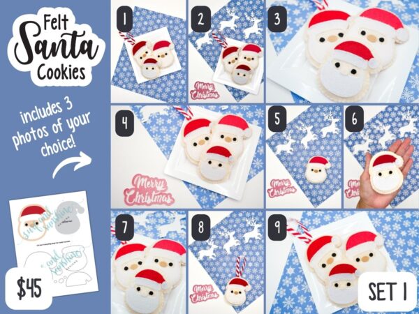 Felt Santa Cookie Craft Set 1 *reserved for Theresa* - Surf and Sunshine Designs